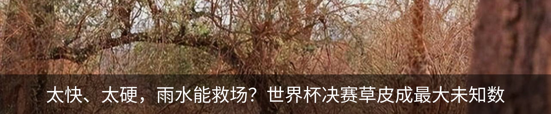 资讯中心